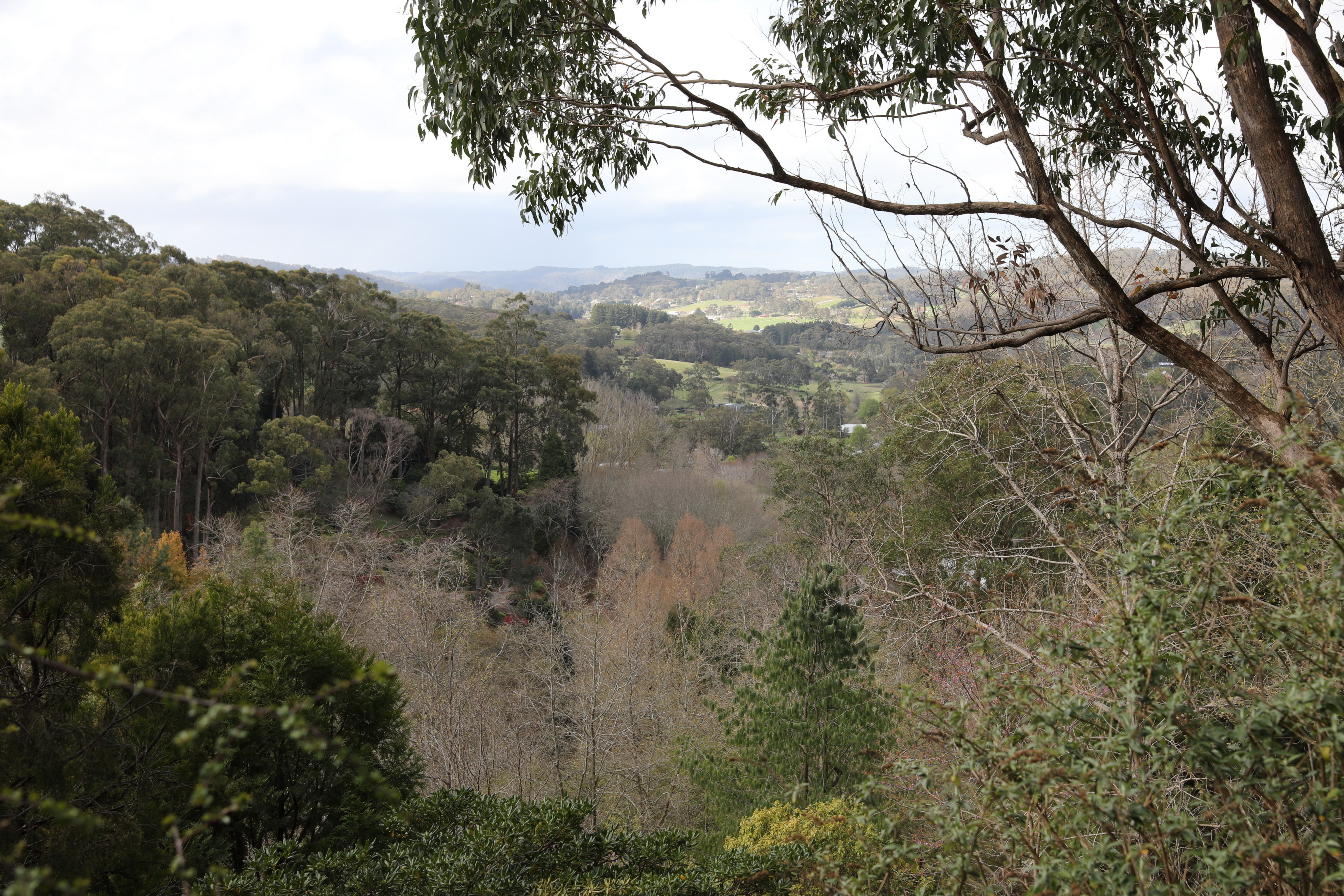 2019 09 21 15 20 06 Canon EOS 5D Mark IV 0009